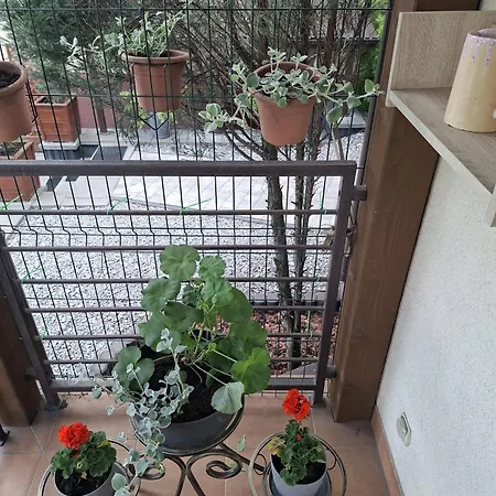 Appartement Sweet *